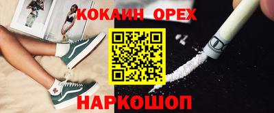 крисы Кингисепп