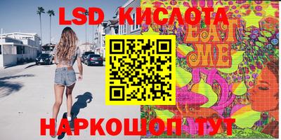 крисы Кингисепп