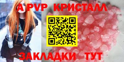 крисы Кингисепп