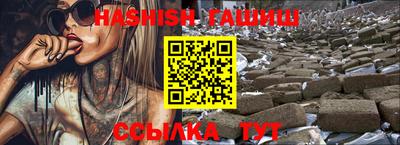 крисы Кингисепп