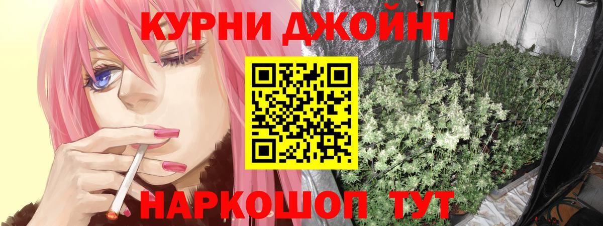 Канабис сатива Кулебаки
