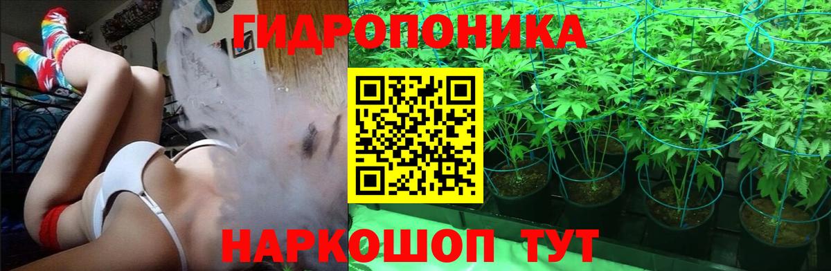 Конопля сатива  МАРИХУАНА индика  Кулебаки  Вход с VPN  Канабис White Widow 